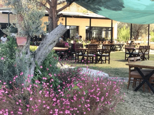 İnek Obası Urla