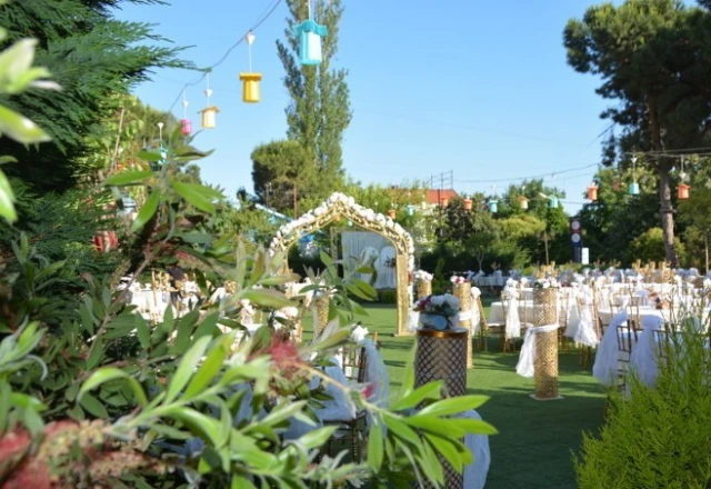 Temenye Quince Garden