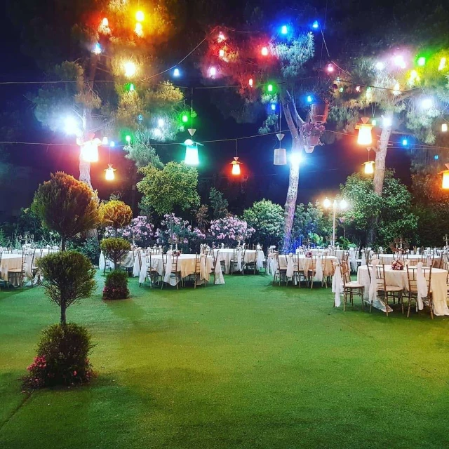 Temenye Quince Garden