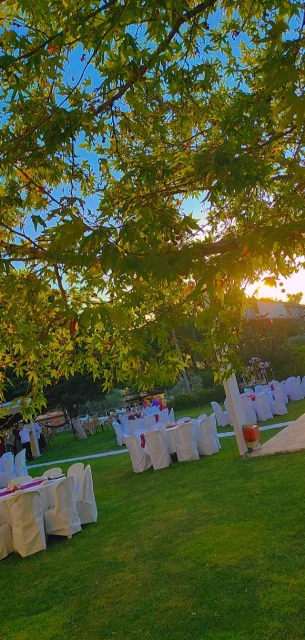 Doğam Restoran