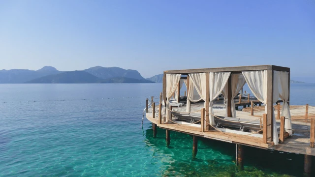 D Maris Bay