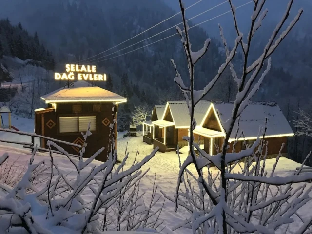 Şelale Dağ Evleri