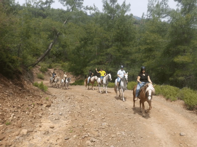 Oranj Ranch Hotel