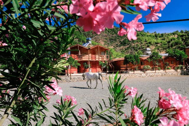 Oranj Ranch Hotel