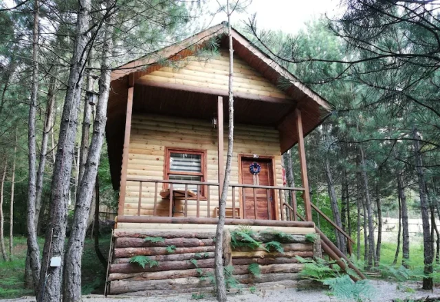 Çam Pınarı Doğa Evleri