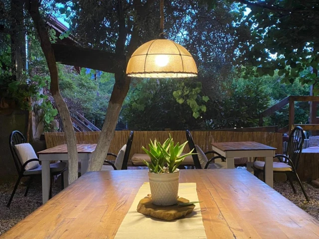 Olympos Baykuş Lodge