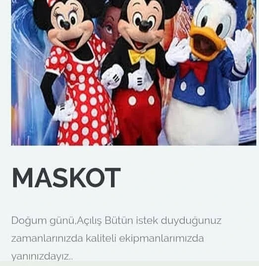 Alen Ajans Organizasyon