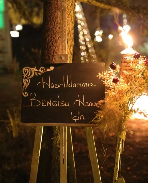 Alen Ajans Organizasyon