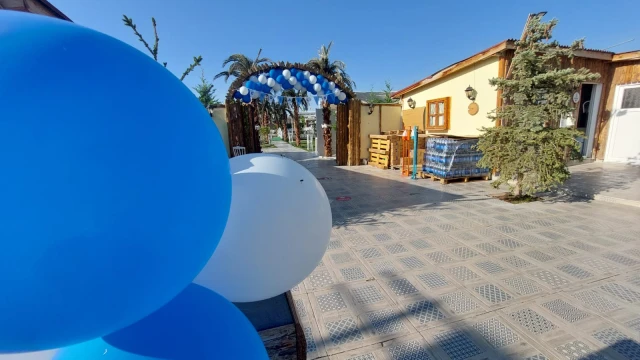 Alen Ajans Organizasyon