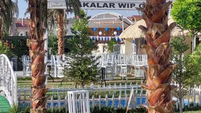 Alen Ajans Organizasyon