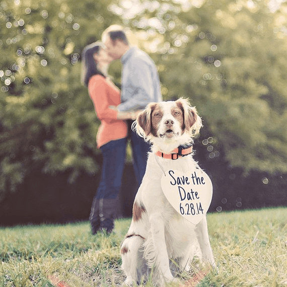 save-the-date-elbiseleri-6-1