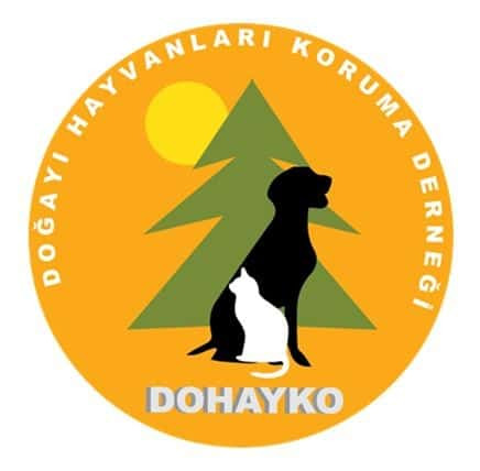 DOHAYKO